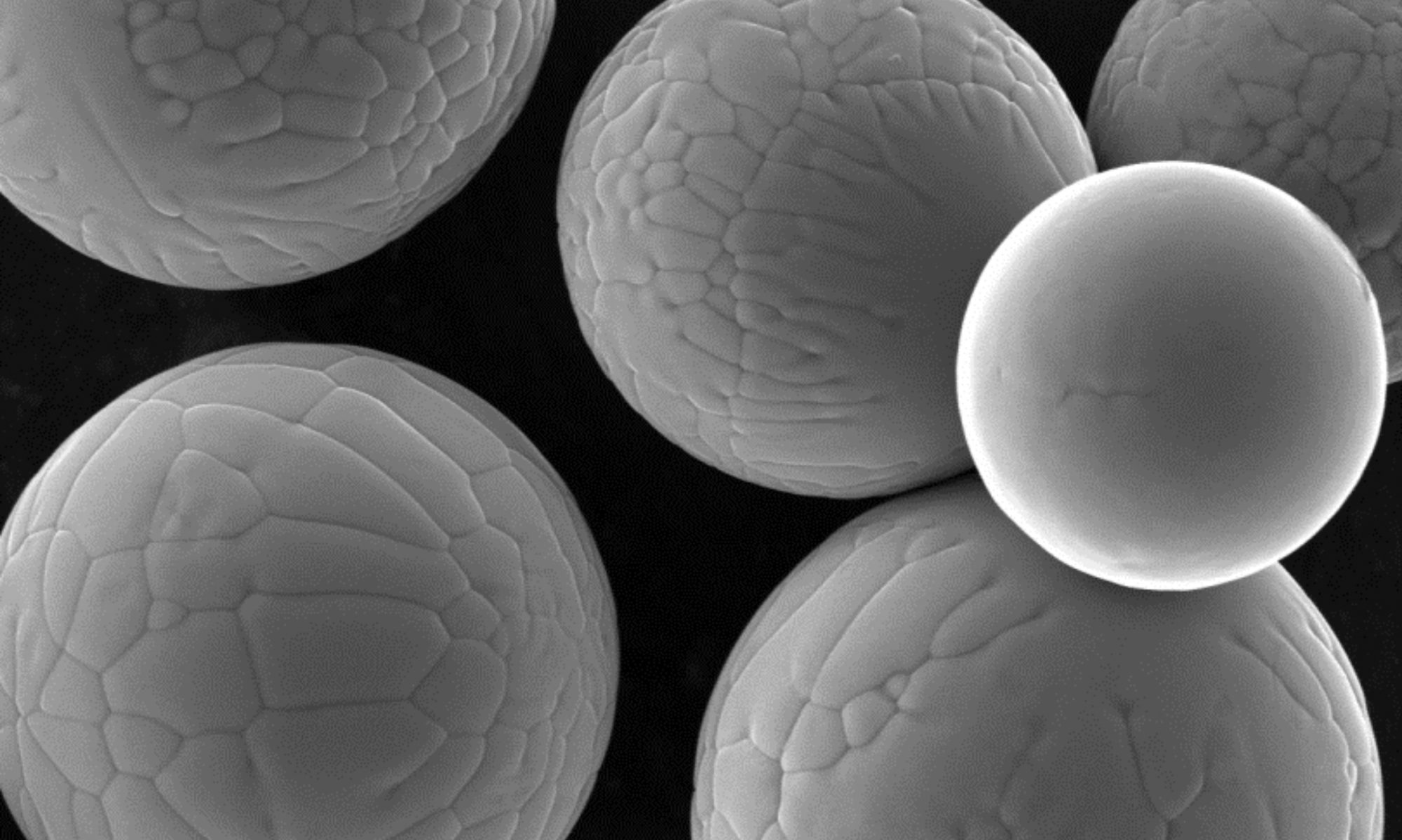 Magnified photo of Equispheres powder developed for additive manufacturing.