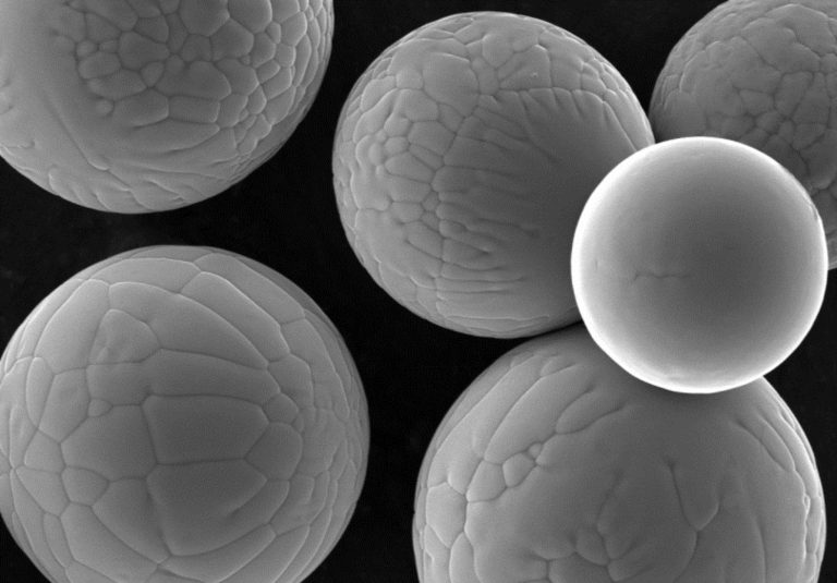 Magnified photo of Equispheres powder developed for additive manufacturing.